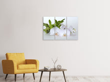 Laden Sie das Bild in den Galerie-Viewer, Leinwandbild 3-teilig Orchidee und Bambus