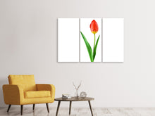 Laden Sie das Bild in den Galerie-Viewer, Leinwandbild 3-teilig Die stolze Tulpe