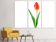 Laden Sie das Bild in den Galerie-Viewer, Leinwandbild 3-teilig Die stolze Tulpe