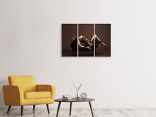 Laden Sie das Bild in den Galerie-Viewer, Leinwandbild 3-teilig Kunst auf dem Körper