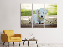 Laden Sie das Bild in den Galerie-Viewer, Leinwandbild 3-teilig Süsses Hunde Baby