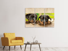 Laden Sie das Bild in den Galerie-Viewer, Leinwandbild 3-teilig 2 Rottweiler Welpen