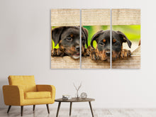 Laden Sie das Bild in den Galerie-Viewer, Leinwandbild 3-teilig 2 Rottweiler Welpen