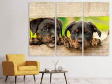 Laden Sie das Bild in den Galerie-Viewer, Leinwandbild 3-teilig 2 Rottweiler Welpen