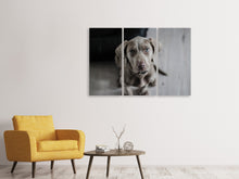 Laden Sie das Bild in den Galerie-Viewer, Leinwandbild 3-teilig Der Weimaraner
