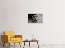 Laden Sie das Bild in den Galerie-Viewer, Leinwandbild 3-teilig Der Weimaraner