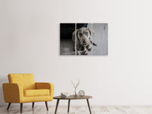 Laden Sie das Bild in den Galerie-Viewer, Leinwandbild 3-teilig Der Weimaraner