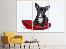 Laden Sie das Bild in den Galerie-Viewer, Leinwandbild 3-teilig Bulldogge zum Verlieben