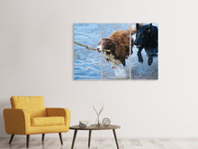 Laden Sie das Bild in den Galerie-Viewer, Leinwandbild 3-teilig Spielende Hunde