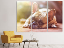 Laden Sie das Bild in den Galerie-Viewer, Leinwandbild 3-teilig Müde Bulldogge