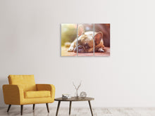 Laden Sie das Bild in den Galerie-Viewer, Leinwandbild 3-teilig Müde Bulldogge