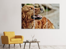 Laden Sie das Bild in den Galerie-Viewer, Leinwandbild 3-teilig Wachsamer Irish Setter