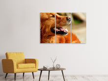 Laden Sie das Bild in den Galerie-Viewer, Leinwandbild 3-teilig Irish Setter Schnauze