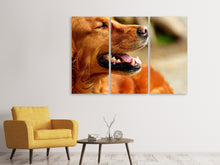 Laden Sie das Bild in den Galerie-Viewer, Leinwandbild 3-teilig Irish Setter Schnauze