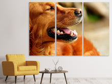 Laden Sie das Bild in den Galerie-Viewer, Leinwandbild 3-teilig Irish Setter Schnauze