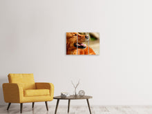 Laden Sie das Bild in den Galerie-Viewer, Leinwandbild 3-teilig Irish Setter Schnauze