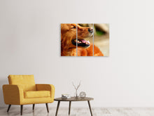 Laden Sie das Bild in den Galerie-Viewer, Leinwandbild 3-teilig Irish Setter Schnauze