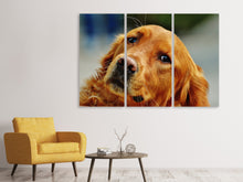 Laden Sie das Bild in den Galerie-Viewer, Leinwandbild 3-teilig Treuer Irish Setter