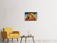 Laden Sie das Bild in den Galerie-Viewer, Leinwandbild 3-teilig Treuer Irish Setter