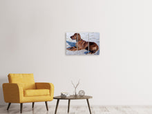 Laden Sie das Bild in den Galerie-Viewer, Leinwandbild 3-teilig Eleganter Irish Setter