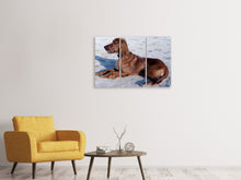 Laden Sie das Bild in den Galerie-Viewer, Leinwandbild 3-teilig Eleganter Irish Setter