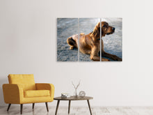 Laden Sie das Bild in den Galerie-Viewer, Leinwandbild 3-teilig Der Irish Setter