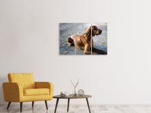 Laden Sie das Bild in den Galerie-Viewer, Leinwandbild 3-teilig Der Irish Setter