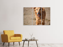 Laden Sie das Bild in den Galerie-Viewer, Leinwandbild 3-teilig Nasser Hund