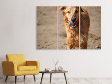 Laden Sie das Bild in den Galerie-Viewer, Leinwandbild 3-teilig Nasser Hund