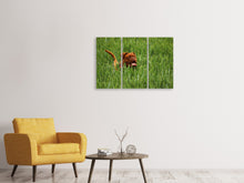 Laden Sie das Bild in den Galerie-Viewer, Leinwandbild 3-teilig Der Mastiff im Gras