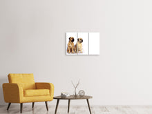 Laden Sie das Bild in den Galerie-Viewer, Leinwandbild 3-teilig 2 Mastiffs