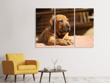 Laden Sie das Bild in den Galerie-Viewer, Leinwandbild 3-teilig Trauriger Hundeblick