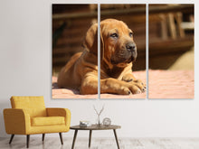 Laden Sie das Bild in den Galerie-Viewer, Leinwandbild 3-teilig Trauriger Hundeblick