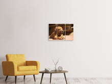 Laden Sie das Bild in den Galerie-Viewer, Leinwandbild 3-teilig Trauriger Hundeblick