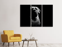 Laden Sie das Bild in den Galerie-Viewer, Leinwandbild 3-teilig Der Boerboel sw