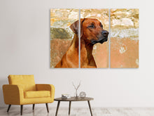 Laden Sie das Bild in den Galerie-Viewer, Leinwandbild 3-teilig Wachsamer Rhodesian Ridgeback