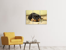 Laden Sie das Bild in den Galerie-Viewer, Leinwandbild 3-teilig Süsse Rottweiler Welpe