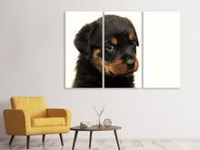 Laden Sie das Bild in den Galerie-Viewer, Leinwandbild 3-teilig Rottweiler Welpe zum Verlieben