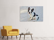 Laden Sie das Bild in den Galerie-Viewer, Leinwandbild 3-teilig Süsse Französische Bulldogge