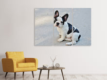 Laden Sie das Bild in den Galerie-Viewer, Leinwandbild 3-teilig Süsse Französische Bulldogge