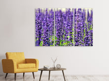 Laden Sie das Bild in den Galerie-Viewer, Leinwandbild 3-teilig XL Lavendel