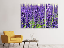 Laden Sie das Bild in den Galerie-Viewer, Leinwandbild 3-teilig XL Lavendel
