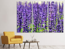 Laden Sie das Bild in den Galerie-Viewer, Leinwandbild 3-teilig XL Lavendel