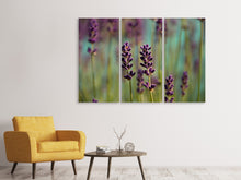 Laden Sie das Bild in den Galerie-Viewer, Leinwandbild 3-teilig Lavendel in XL