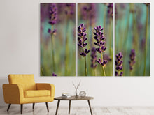 Laden Sie das Bild in den Galerie-Viewer, Leinwandbild 3-teilig Lavendel in XL
