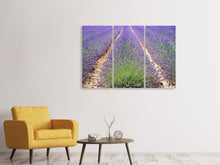 Laden Sie das Bild in den Galerie-Viewer, Leinwandbild 3-teilig Das Lavendel Feld