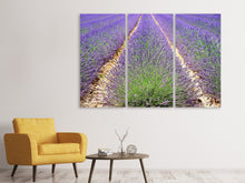Laden Sie das Bild in den Galerie-Viewer, Leinwandbild 3-teilig Das Lavendel Feld