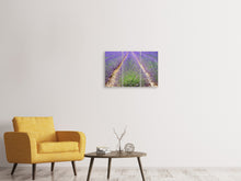 Laden Sie das Bild in den Galerie-Viewer, Leinwandbild 3-teilig Das Lavendel Feld