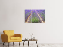 Laden Sie das Bild in den Galerie-Viewer, Leinwandbild 3-teilig Das Lavendel Feld