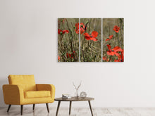 Laden Sie das Bild in den Galerie-Viewer, Leinwandbild 3-teilig Der Klatschmohn in der Natur